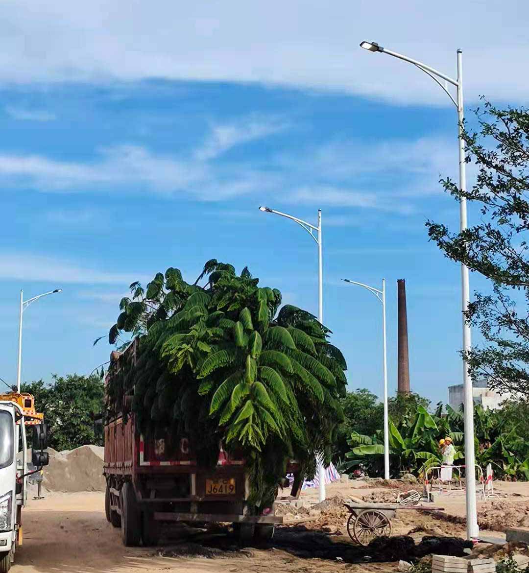 买球（中国）助力东莞洪梅万科星城道路亮化工程